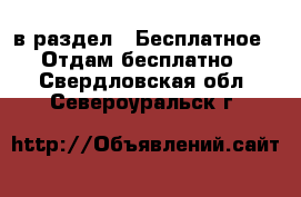  в раздел : Бесплатное » Отдам бесплатно . Свердловская обл.,Североуральск г.